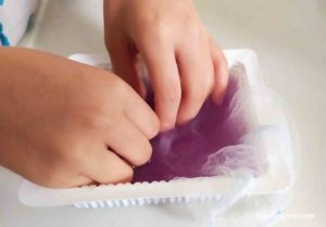 朝顔の色水遊び作り方 写真付きで解説 自由研究 元園芸業界人の 花 図鑑 あそび