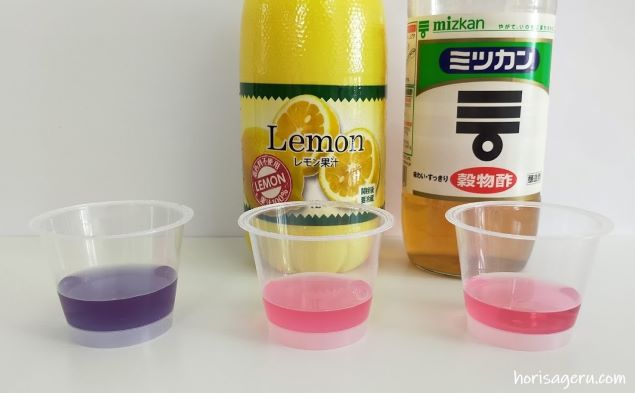 朝顔の色水でｐＨ実験したレモン果汁と酢の結果