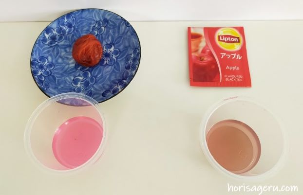 朝顔の色水でｐＨ実験した梅干しと紅茶の結果
